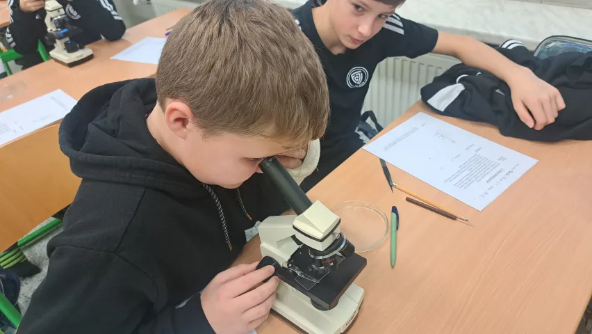 Laboratorni prace v 6. rocniku