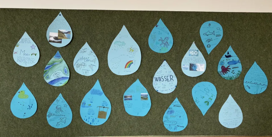Projektový týden v němčině: Wasser