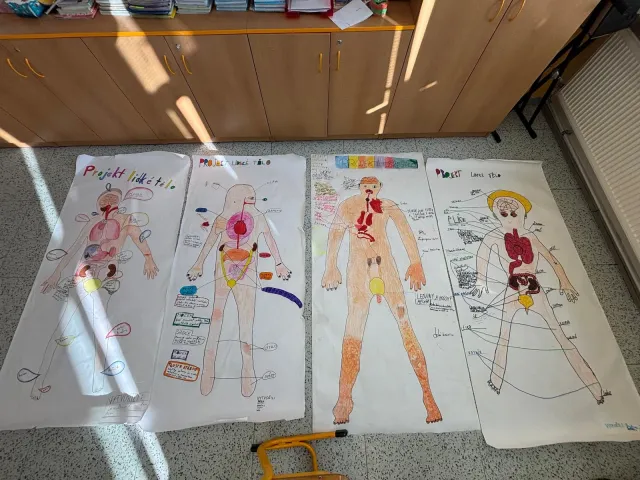 Projekt lidske telo ve 3D