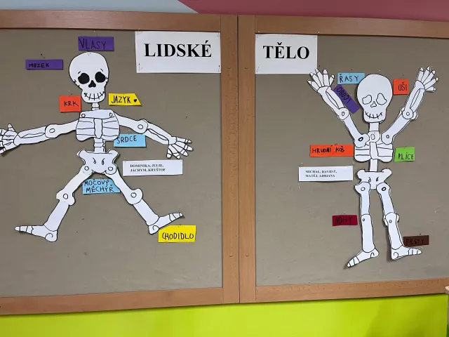 Poznáváme lidské tělo ve školní družině